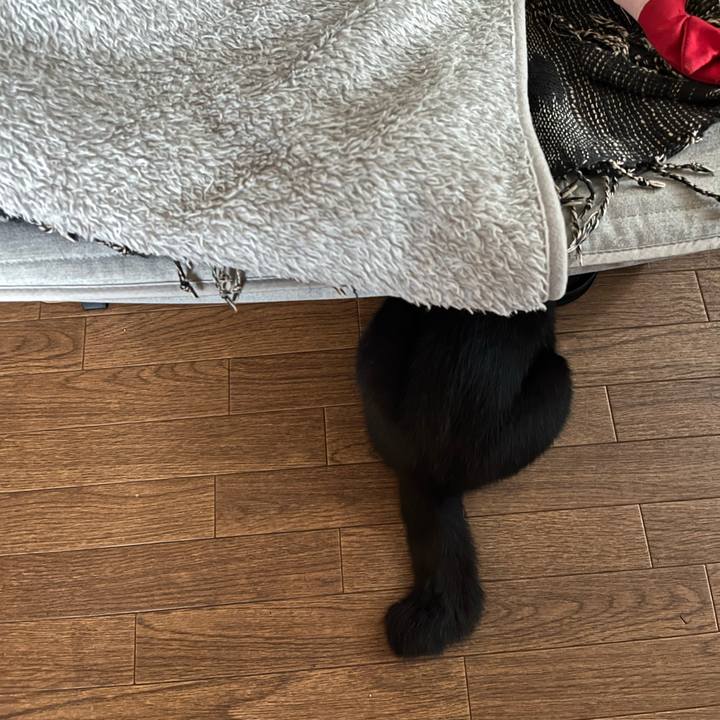 Ebac79ec 85f0 4a7f be56 825033a7ed22 1689380310294