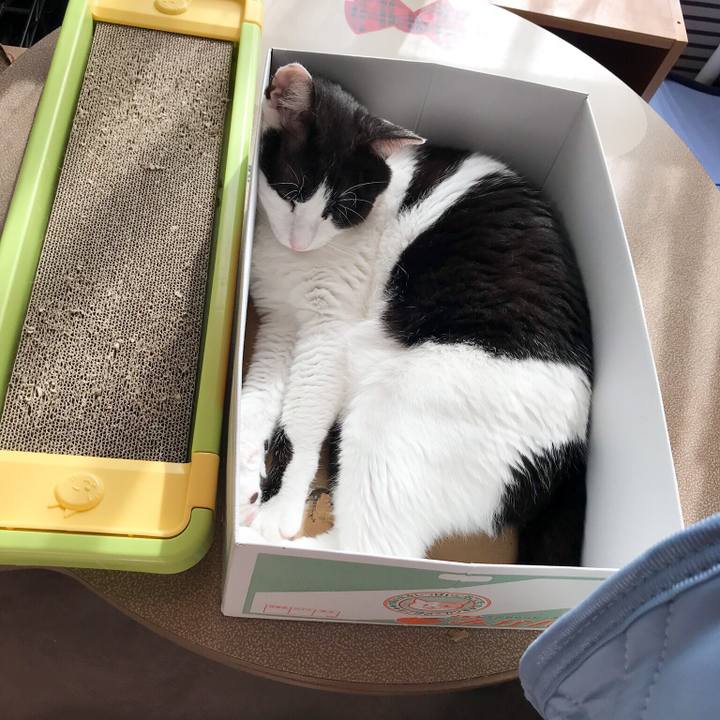 Ebac80b2 3550 4892 b137 20e40e1980e3 1529809050820