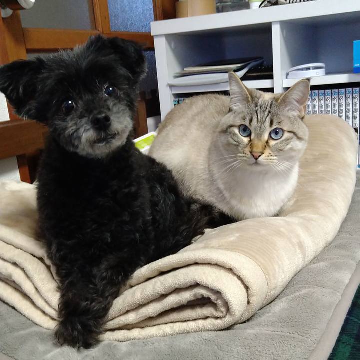 Ebac9056 af15 4cc3 b617 8cefc2a56dd6 1647852241547