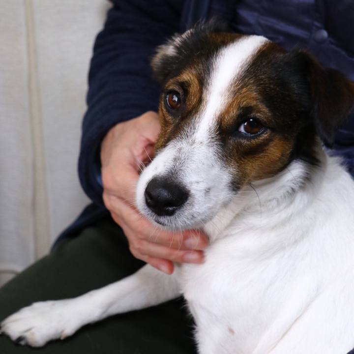 Ebac9cdf fdb1 4c9e b927 ab63330058bb 1544321408401