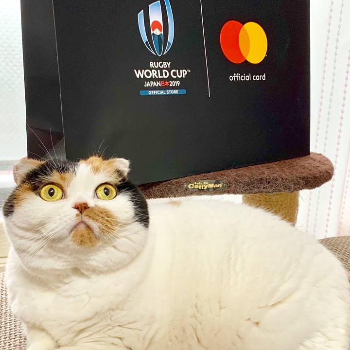 Ebacb625 3085 4465 b472 be5053f0b6f7 1569202115292