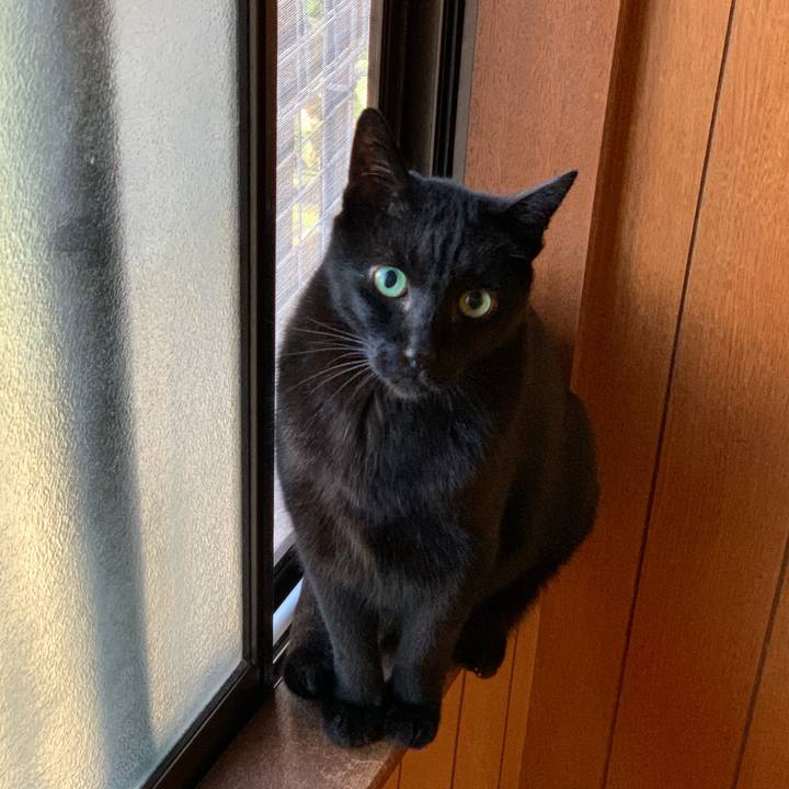 Ebacb6ea b251 4fbd 93c1 612a8ff52116 1578445868253