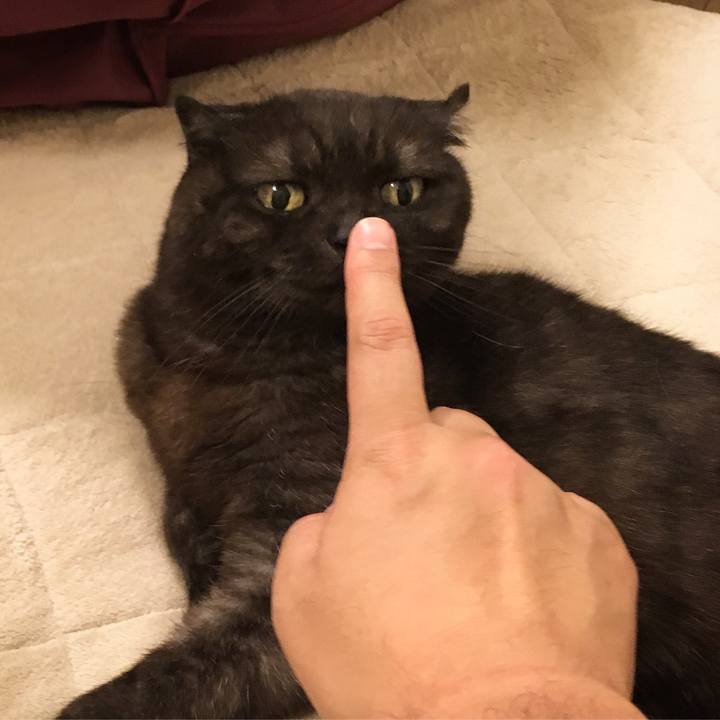 Ebacc45c 3ca1 49ee 98bd 02c021468965 1526567206568