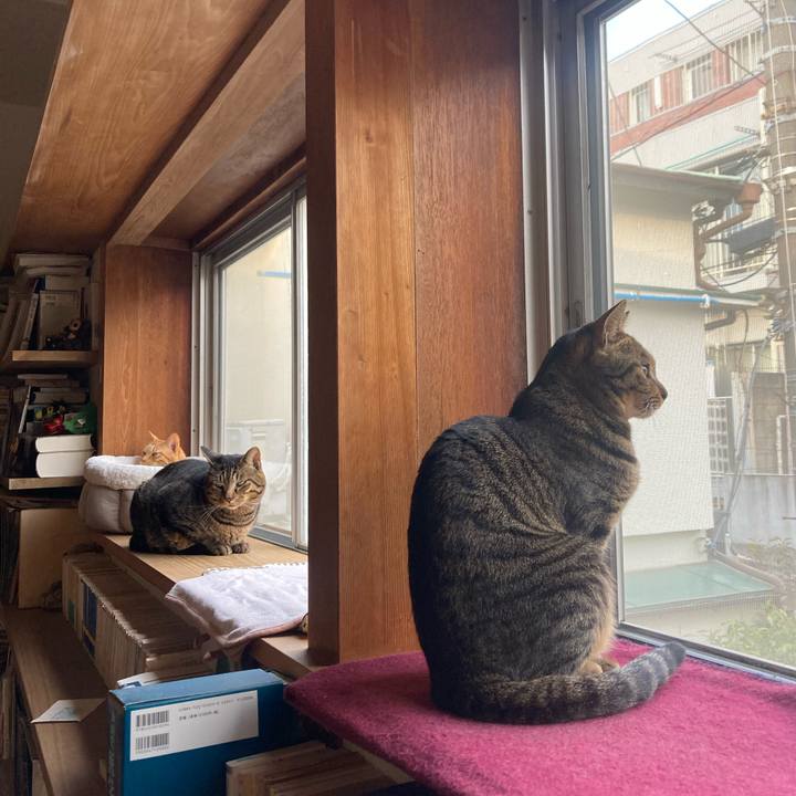 Ebacc831 1d12 40b8 99f1 dc33a891f9cc 1771800174287