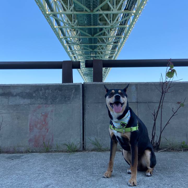 Ebaccb4a a6ec 419b adec 137aa6b2de6b 1617793248024