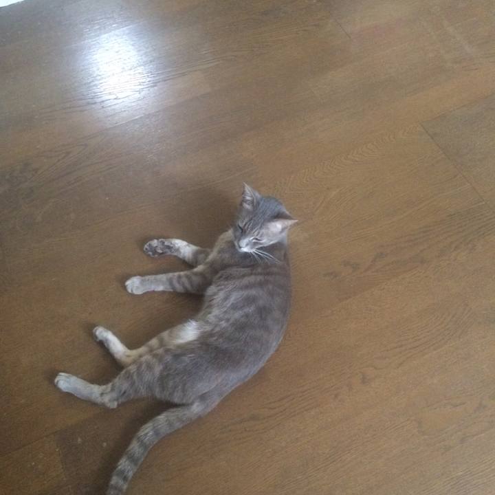 Ebad0563 dd1b 4f4e 8e48 706e2cccf1d9 1564724729178