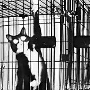 Ebad2e19 568b 4d67 9615 04047d5ccd79 1756499585509