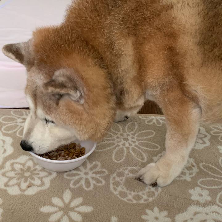 Ebad5cdb 0328 405f 81fc 3893b8d7a5af 1667433531497