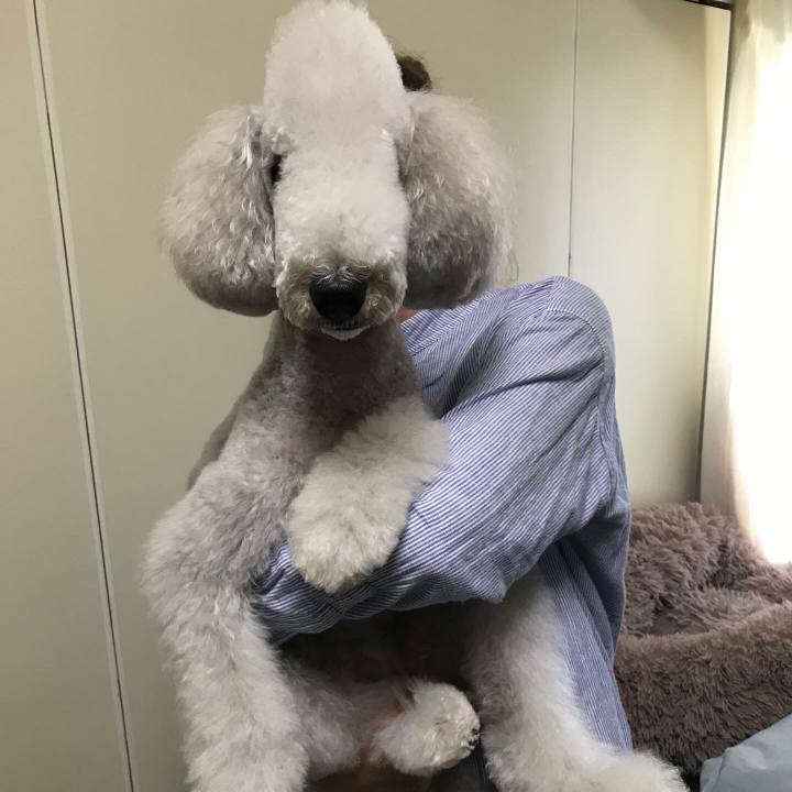 Ebad7057 e37f 4ff3 95f3 dbac1f933fa5 1653808778781