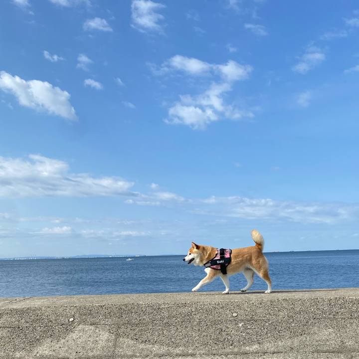 Ebad9a67 89e8 4da6 922a 3a4f68e57c90 1651974375135