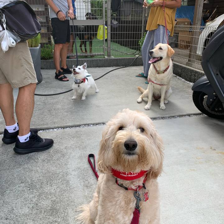 Ebae14ee 821c 4fbf b569 444286a93caa 1723935284406