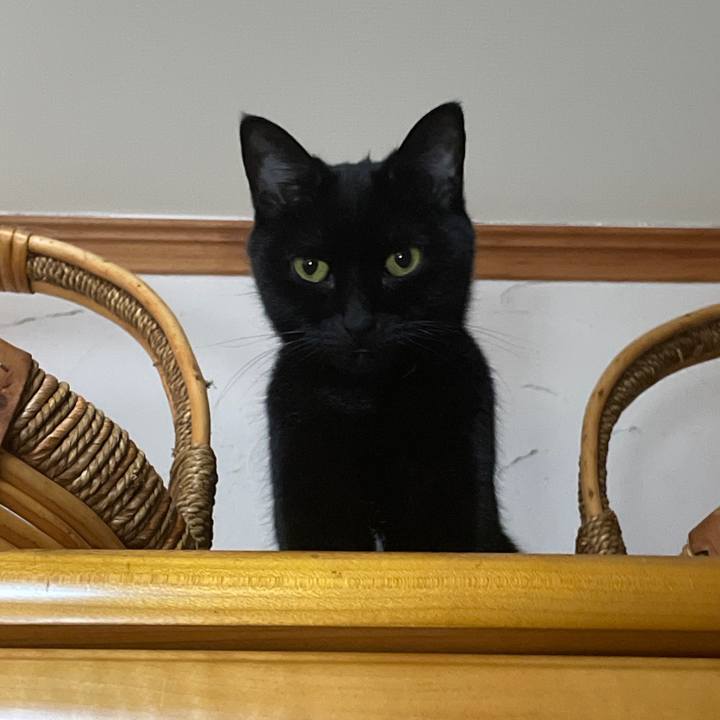 Ebae36ae 4819 424c 8762 1ed9f8ac4402 1645289113632