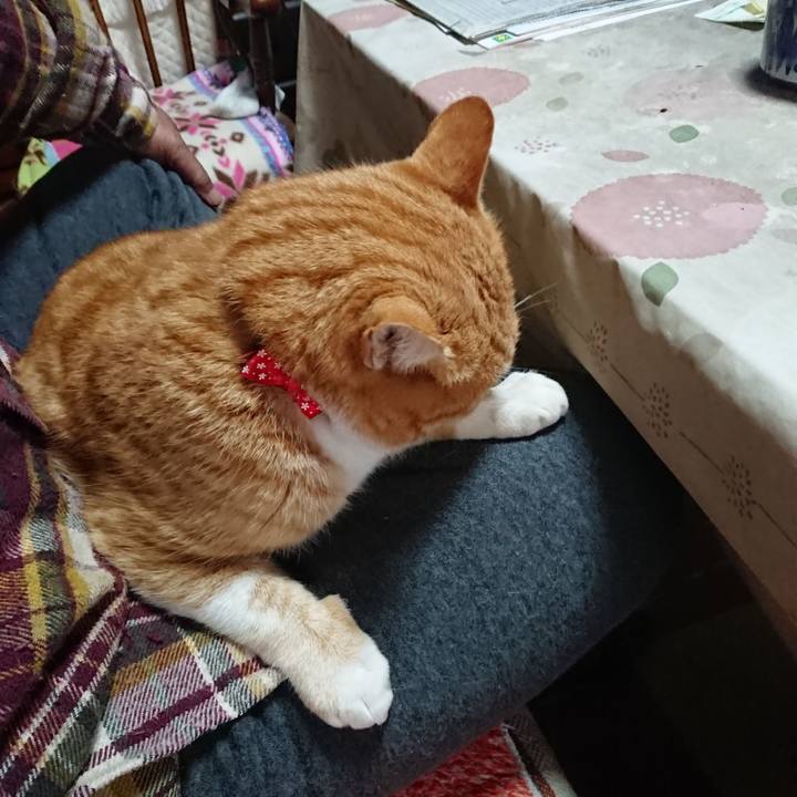 Ebae40eb 35d9 409a 9d65 dd254e3a46d5 1577665540336