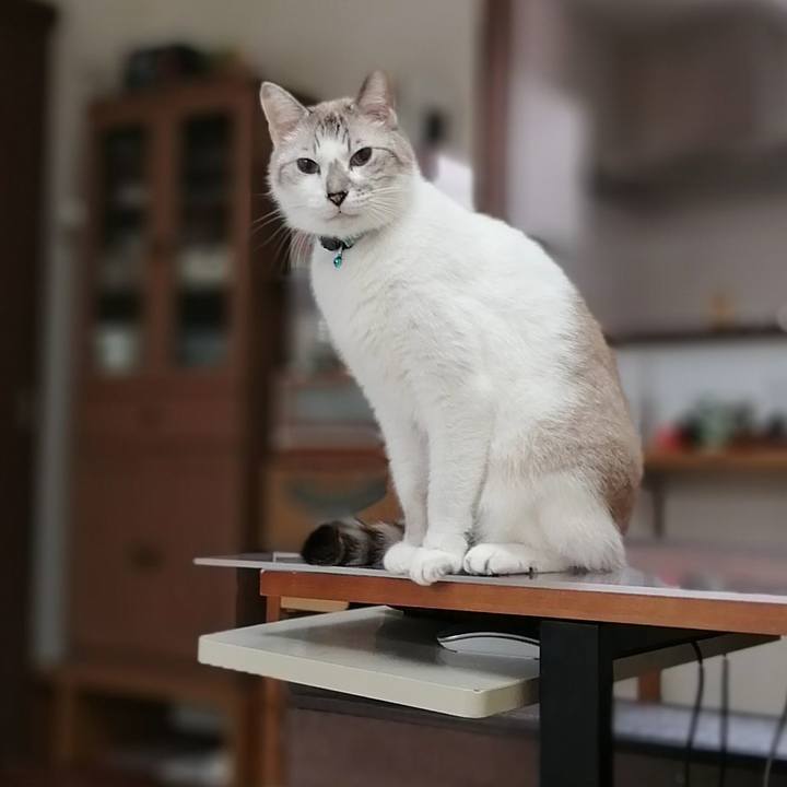 Ebae60eb 59c1 405b a9fd 059e5bb3475f 1571457145173