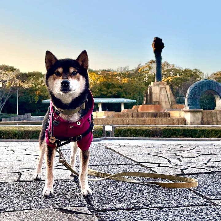 Ebae7dc8 d508 463e bc04 2d080f7aa5c8 1768274957419