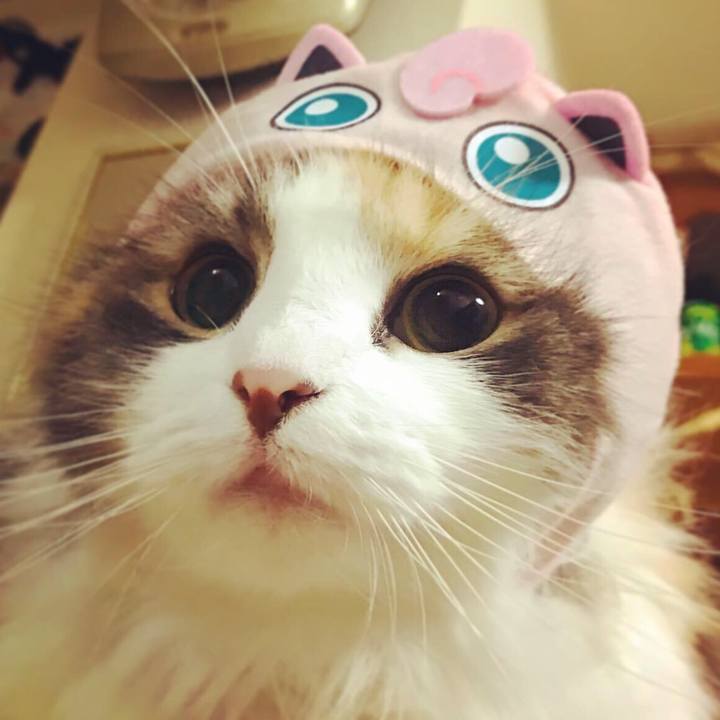 Ebae8395 db33 4fad 8a35 b1a6c80cebfa 1575087193159