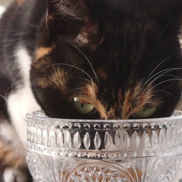 Ebae8dbb d37b 4b15 82e3 226912ad89a6 1613021549172