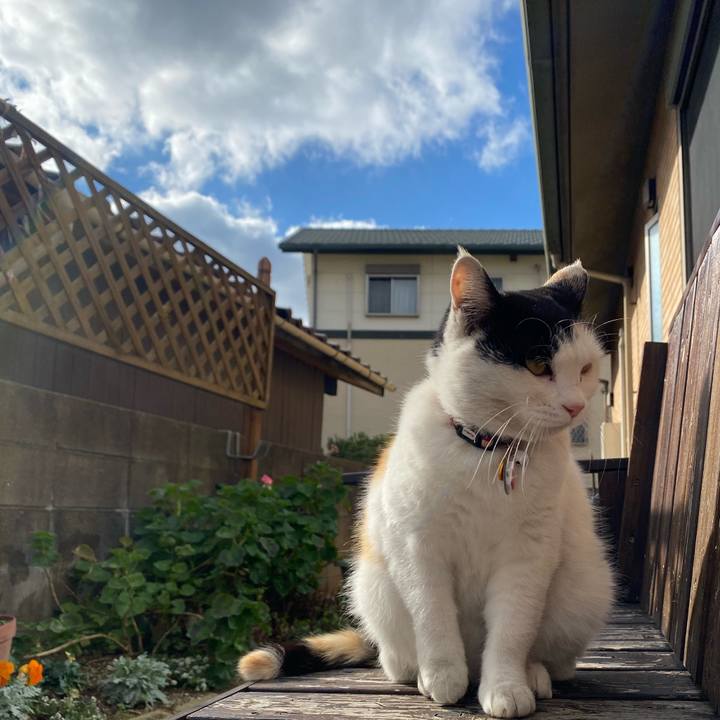 Ebae9603 1897 41d3 9066 8f908c36f2c2 1642169720470