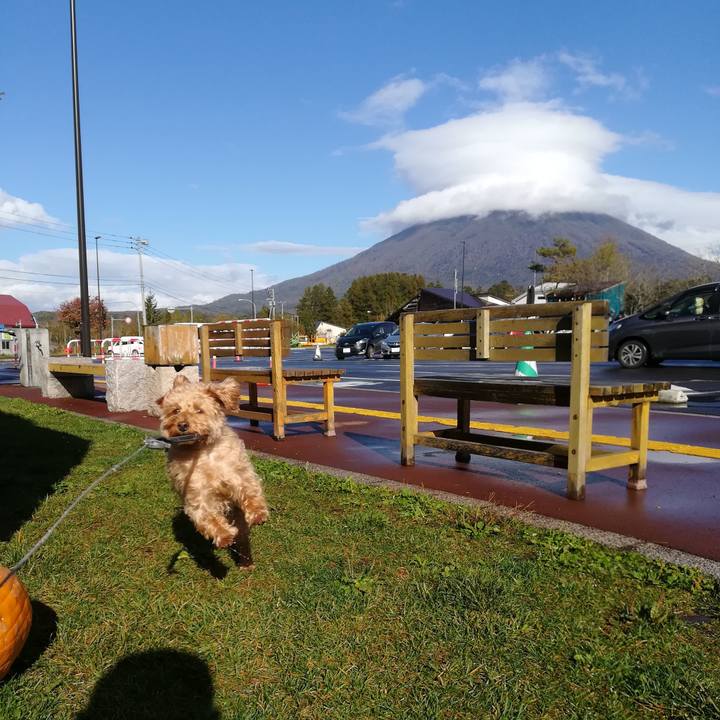 Ebae9776 d6be 48c8 a51a a53ece330cb0 1539320957909