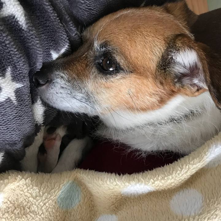 Ebaede70 9753 4442 ad62 3a56b16cf792 1516575888988