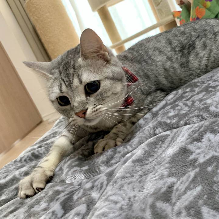 Ebaef4b4 b8f1 4f15 8bb9 504b693cf4f4 1585390030743