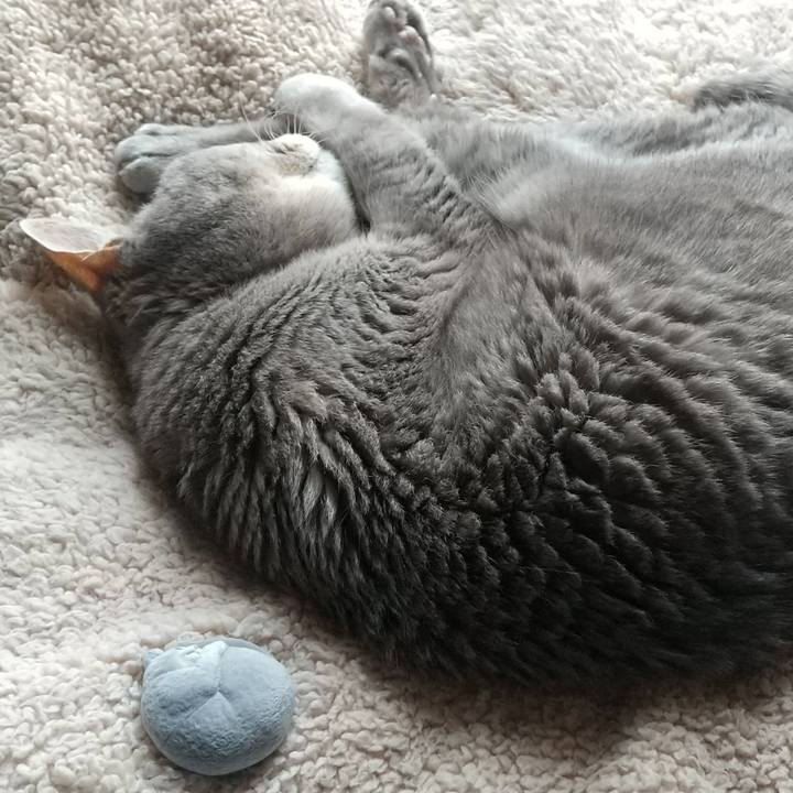 Ebaef555 9705 4766 aefd 281e4f15a631 1685061127165