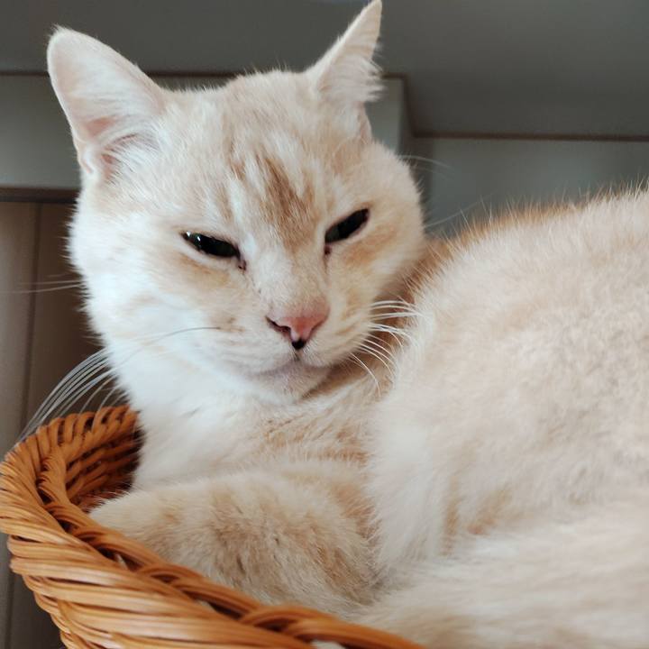 Ebaf0f30 9248 49b6 8060 88b5cdfa69e8 1771730504612