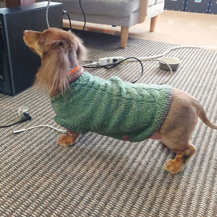 Ebaf3b9a d2b8 44e5 9e28 f4fd3a5a0d67 1672116714294