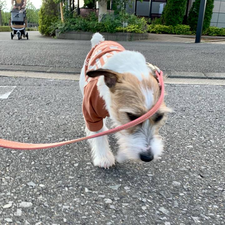 Ebaf3c01 f67b 47ab b17e 129ccd7e42f1 1621776449373