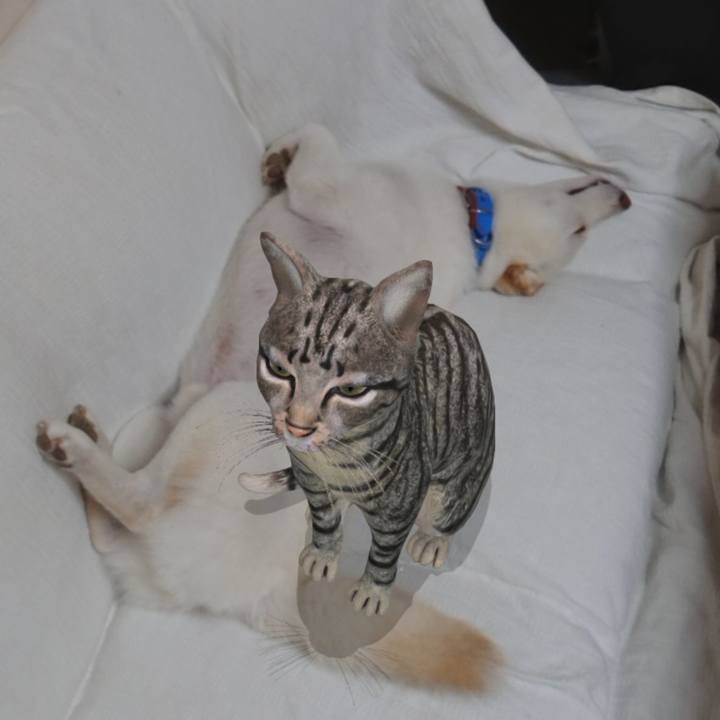 Ebaf56cc 6072 4ead 8e07 cc9120c862f6 1569844208695