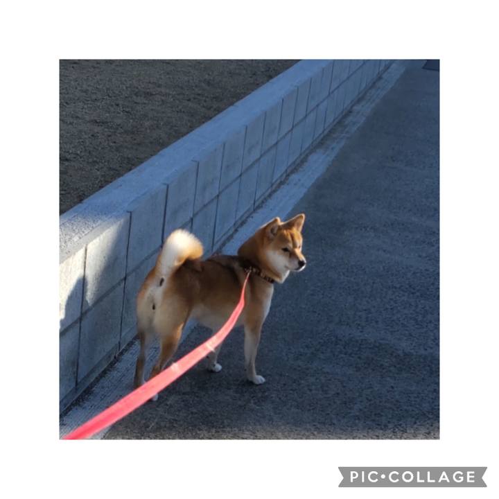 Ebb002f6 e6e1 4c85 8e99 9dfe0d13c892 1676939573642