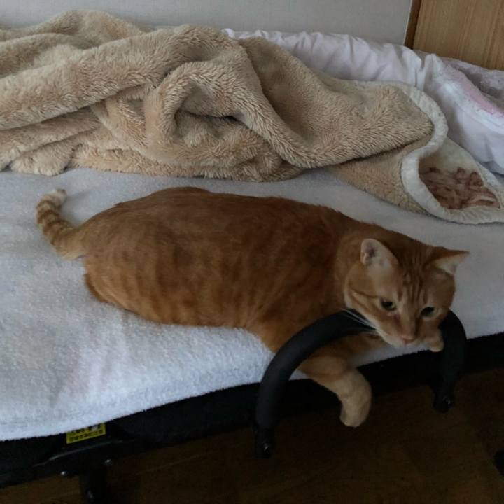 Ebb01a83 4d46 4947 b4ef 4b4d7db3bdd6 1613427332350