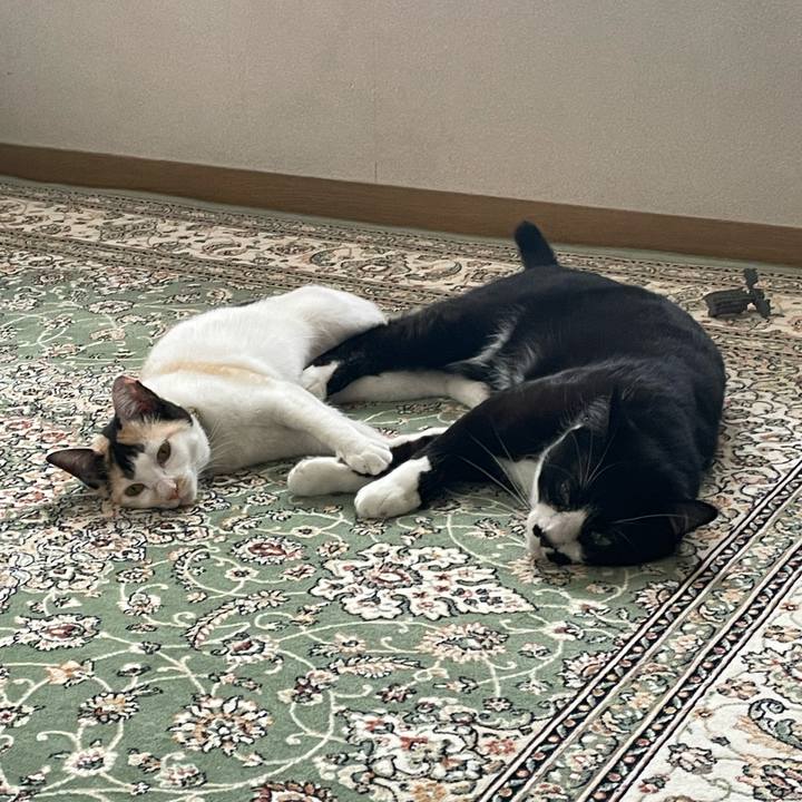 Ebb0a2c6 f410 4116 a84d 69b8181157c4 1676865315906