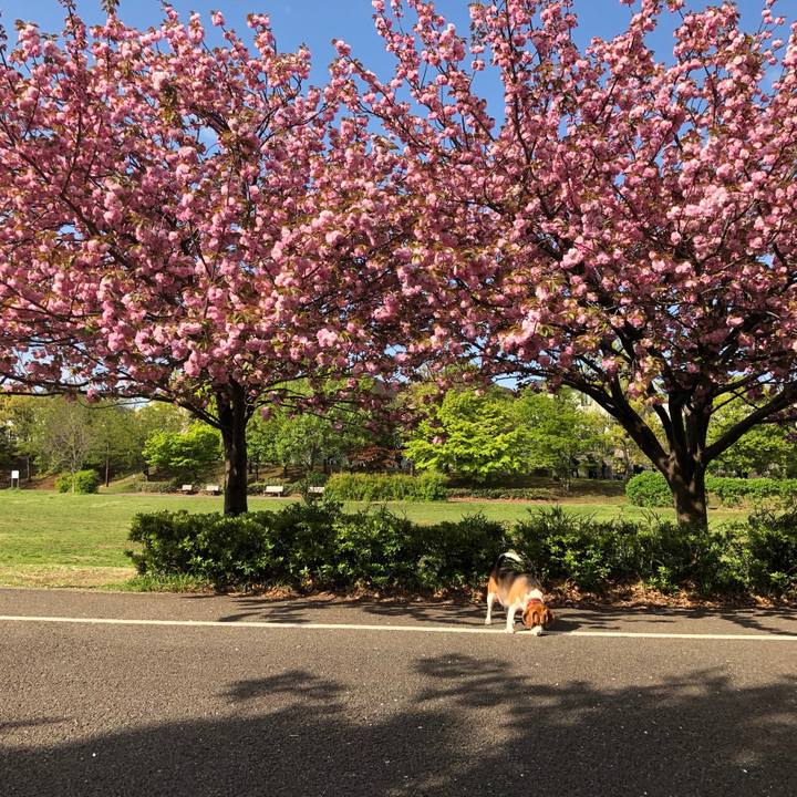 Ebb0a6a0 a896 4ad9 96b3 e2df983ba7d7 1617928353206