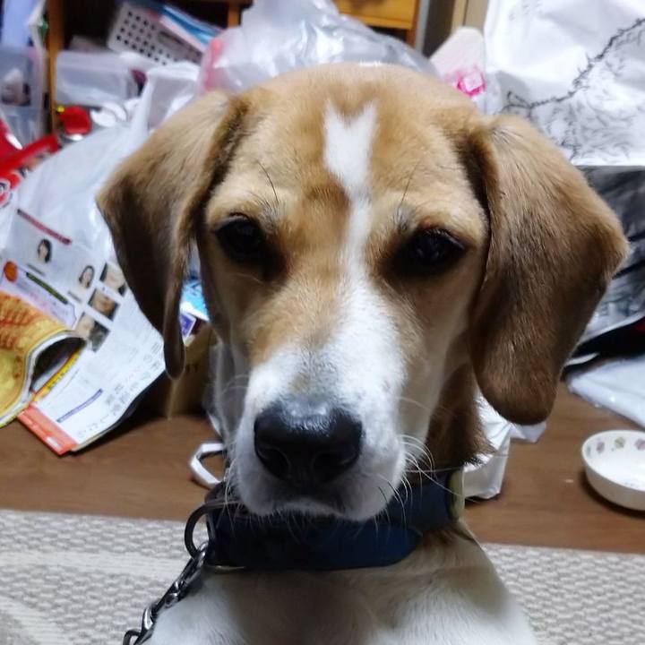 Ebb0b342 0304 4d75 a609 de99bf205da0 1608540592571