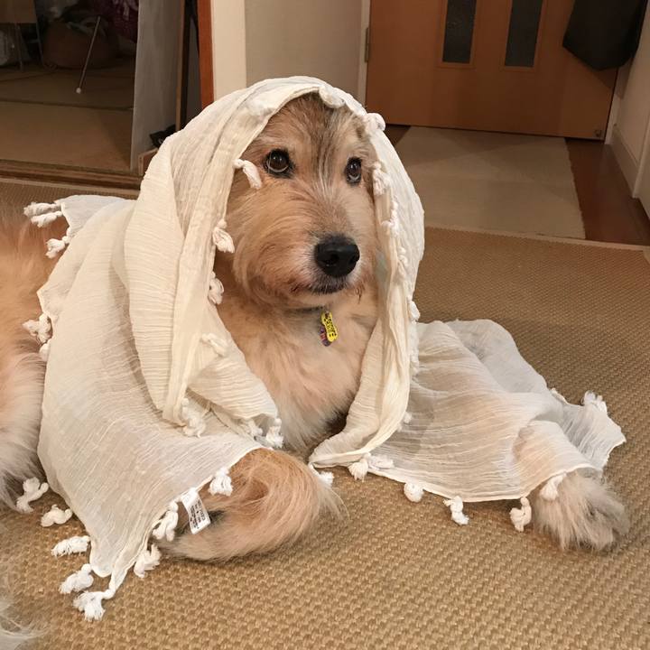 Ebb0e48a 2efb 48a9 a8ca 2bfcd8ff275d 1566398459108