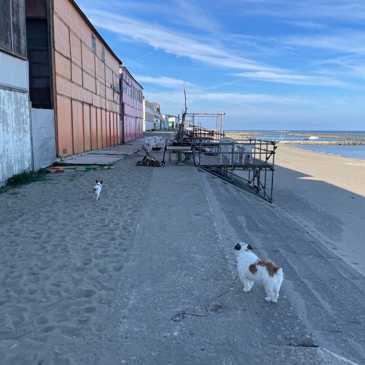 Ebb0fbd8 6386 4dd6 b50b 13698e33f66e 1662852814559