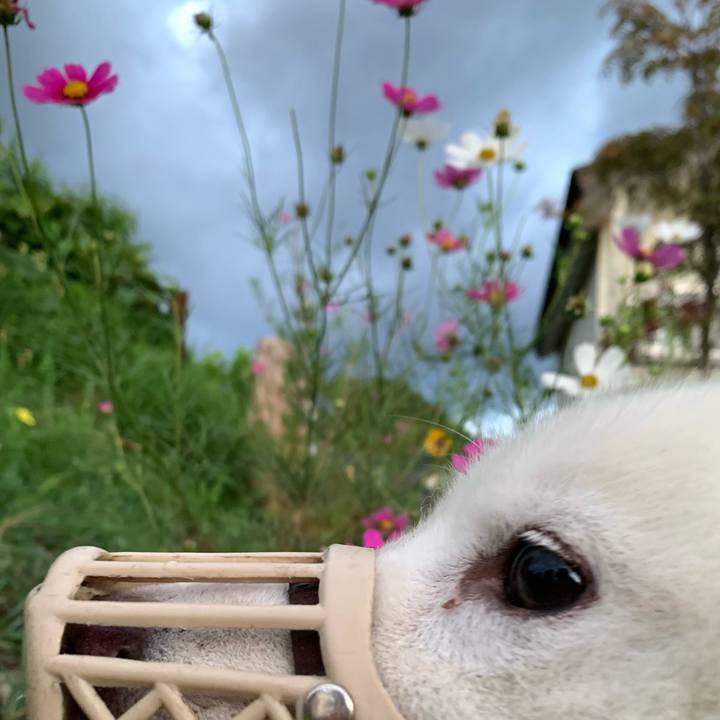 Ebb13b8d 5416 415e 909f 4bcae08cd2ce 1630355094999