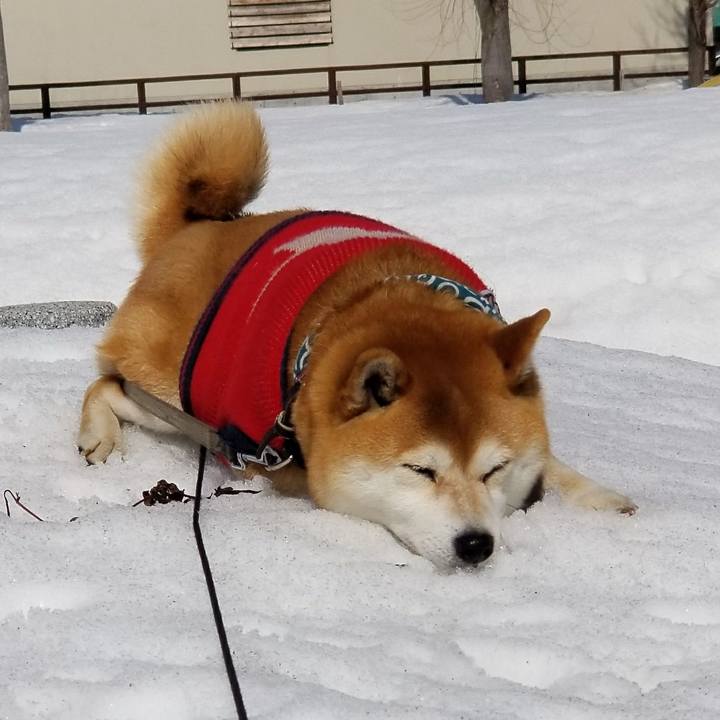 Ebb14e42 131b 4e17 99c7 91d4d81d9494 1520135583767