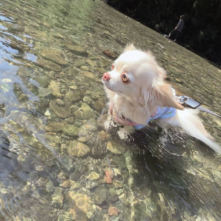 Ebb154c3 01ef 4a19 b331 75b7a469358d 1755176220368