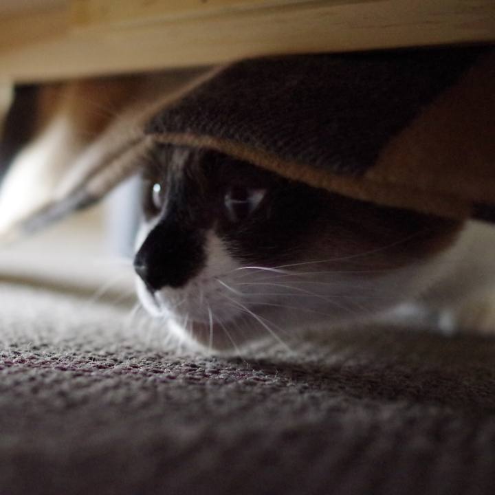 Ebb15ff3 9ded 4218 b1fb c508490754d8 1520047090755