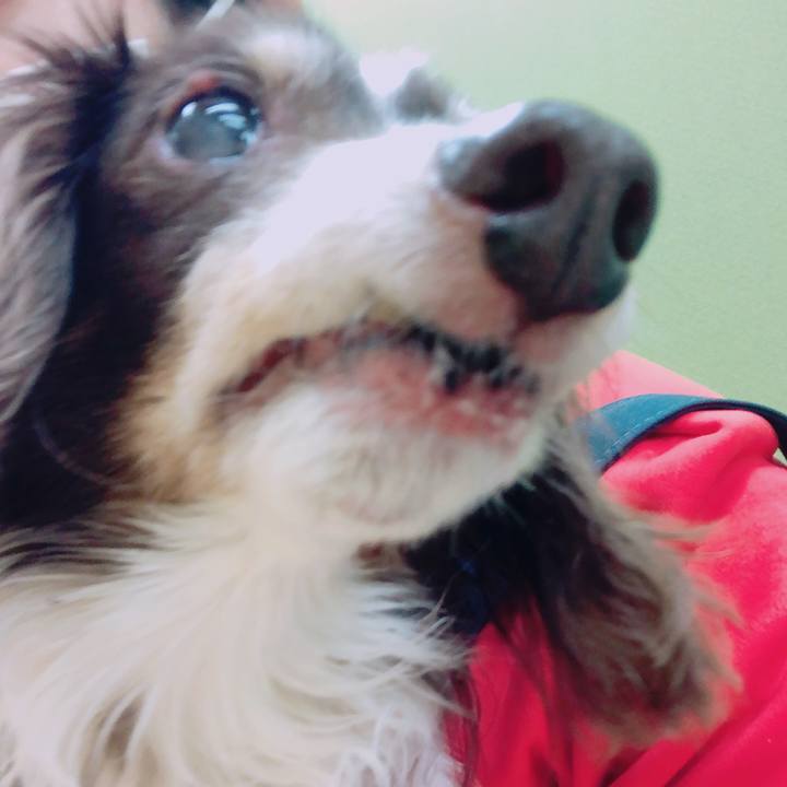 Ebb16dcf 2110 466c 88e8 e4bebc89ad1e 1586127013462