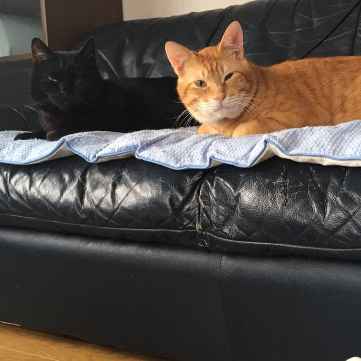 Ebb17582 b7ba 4e58 a162 51cd3270a324 1532351524293