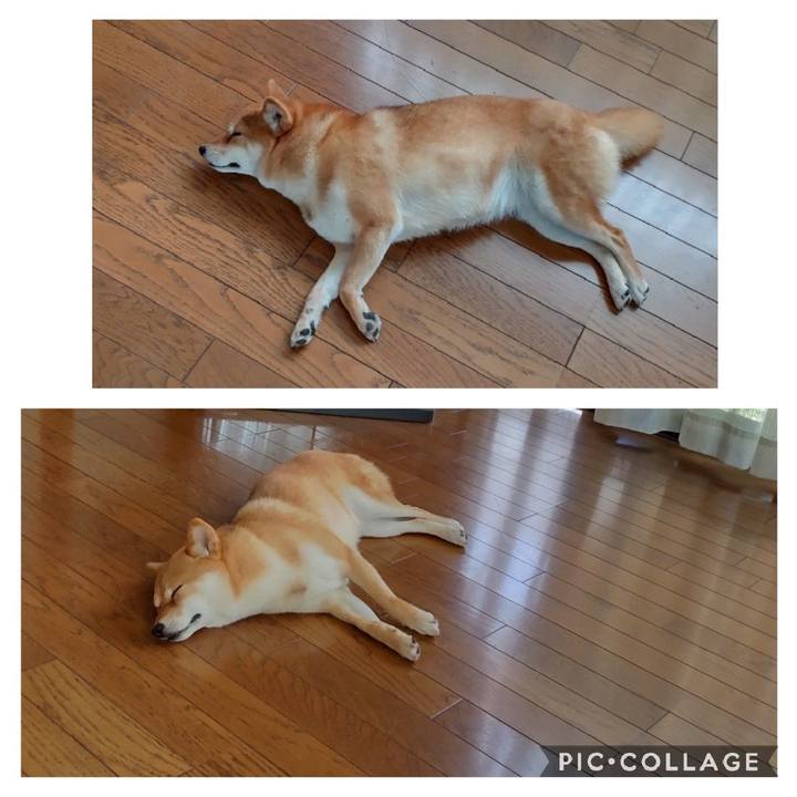 Ebb18409 c321 4ea2 aee6 af54a627e1c2 1653971708012