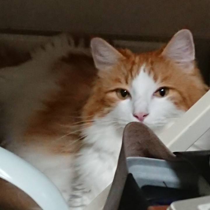 Ebb1c813 fdc5 4894 b8e0 fc732dbf0a4b 1567088484275