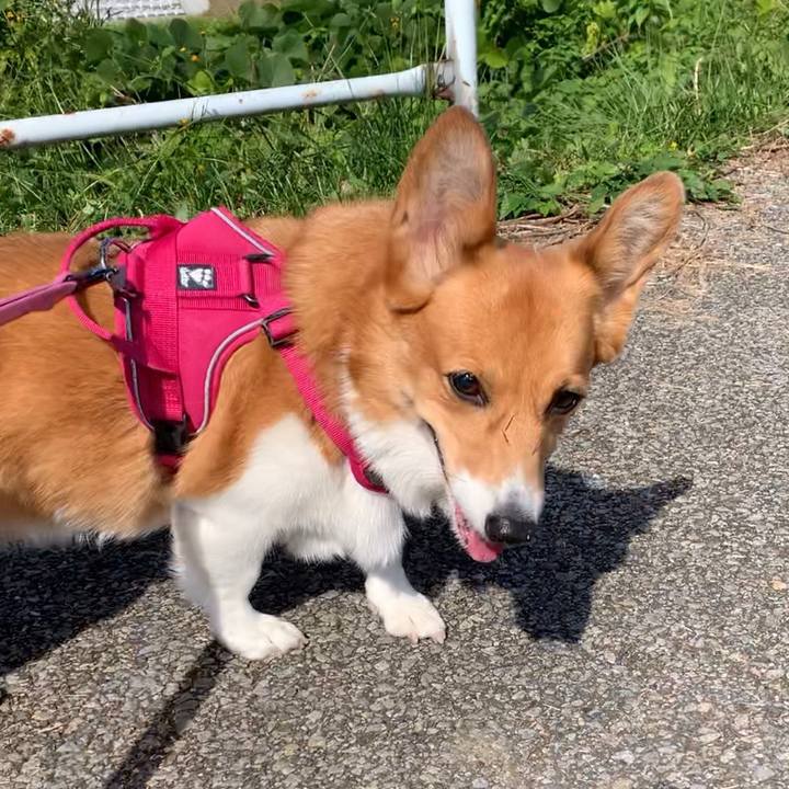 Ebb1cd8c 8185 497a bf39 4186c79c1817 1666328142598