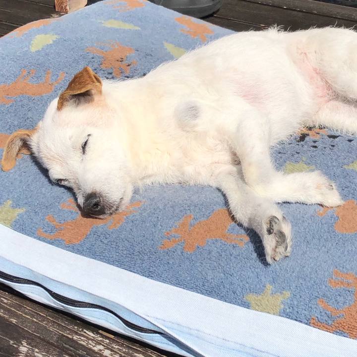 Ebb1f64d 2382 401d a63a e6adfccc3247 1649206932818