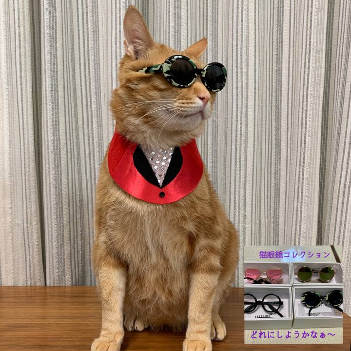 Ebb219cc f514 43b0 a9fb 224abcdbf6b2 1619520366871