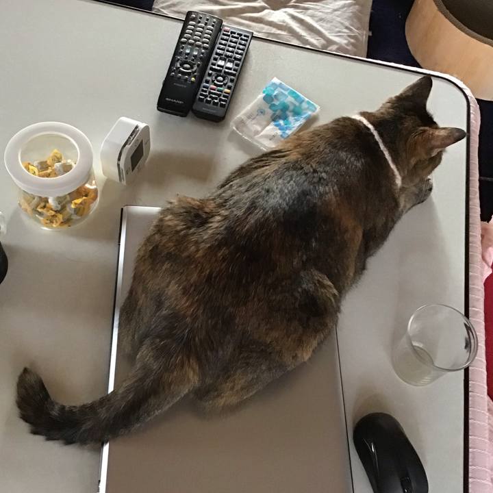 Ebb2457a 9e86 44f7 9af9 352e71842050 1714287710837