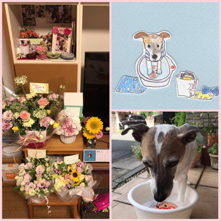 Ebb2740e 6f1c 4c88 874b faa7e31b6b2a 1534375571992